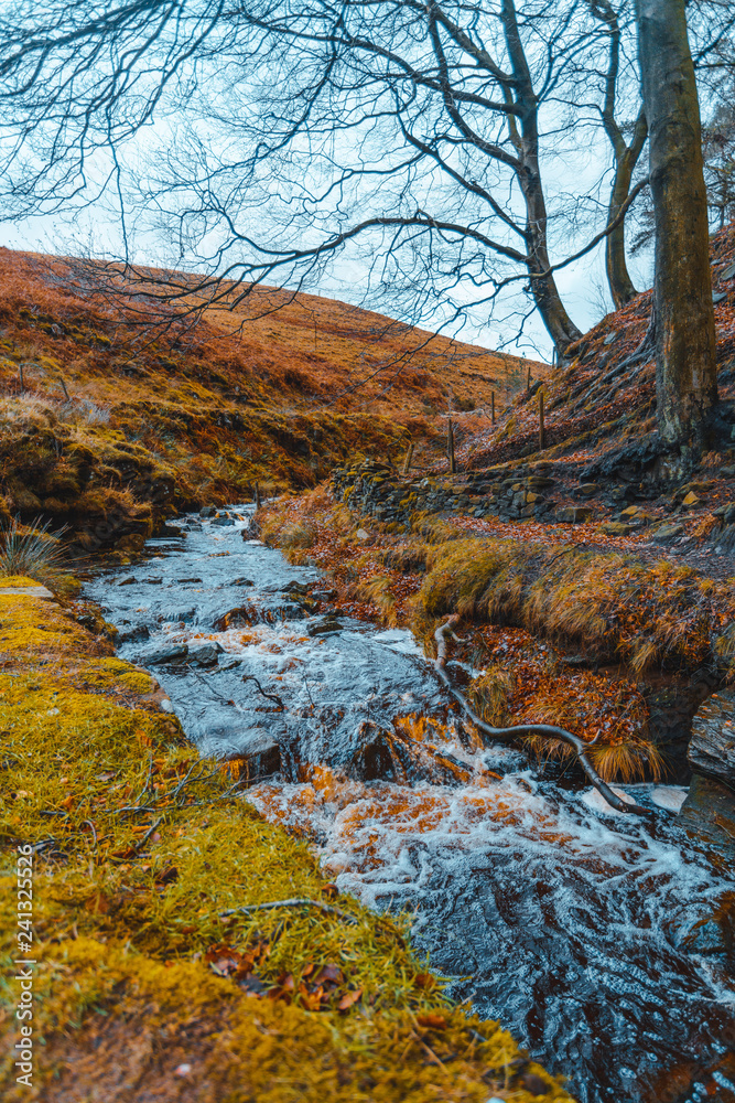 woodlands and river autumn fall
