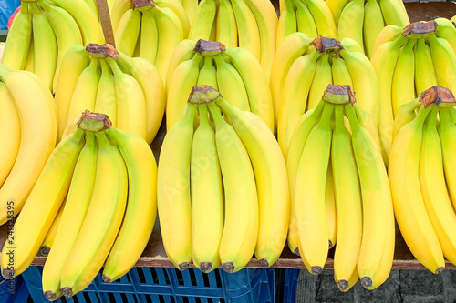 Close up view of bananas in a row