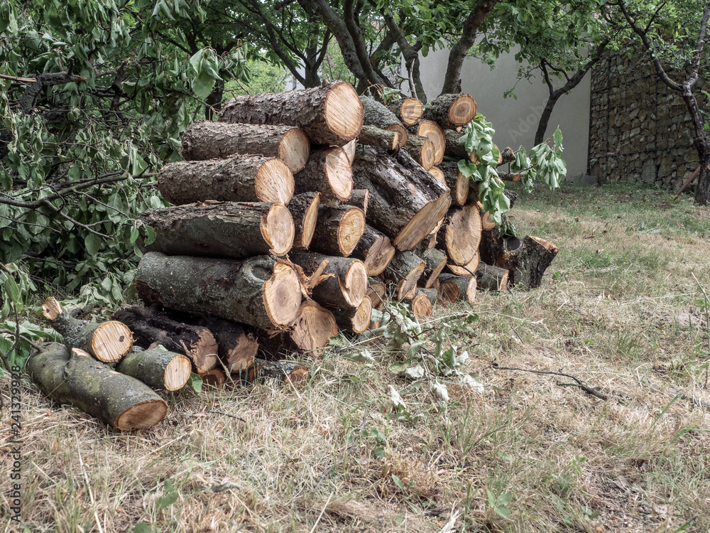 A pile of firewood in the garden. Gardening concept. A pile of firewood in the garden. Gardening concept.
