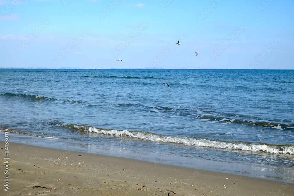 Landscape with sea and skyline with some seagulls flying abode the waves in clear blue sky and the coastline on horizon at far on day