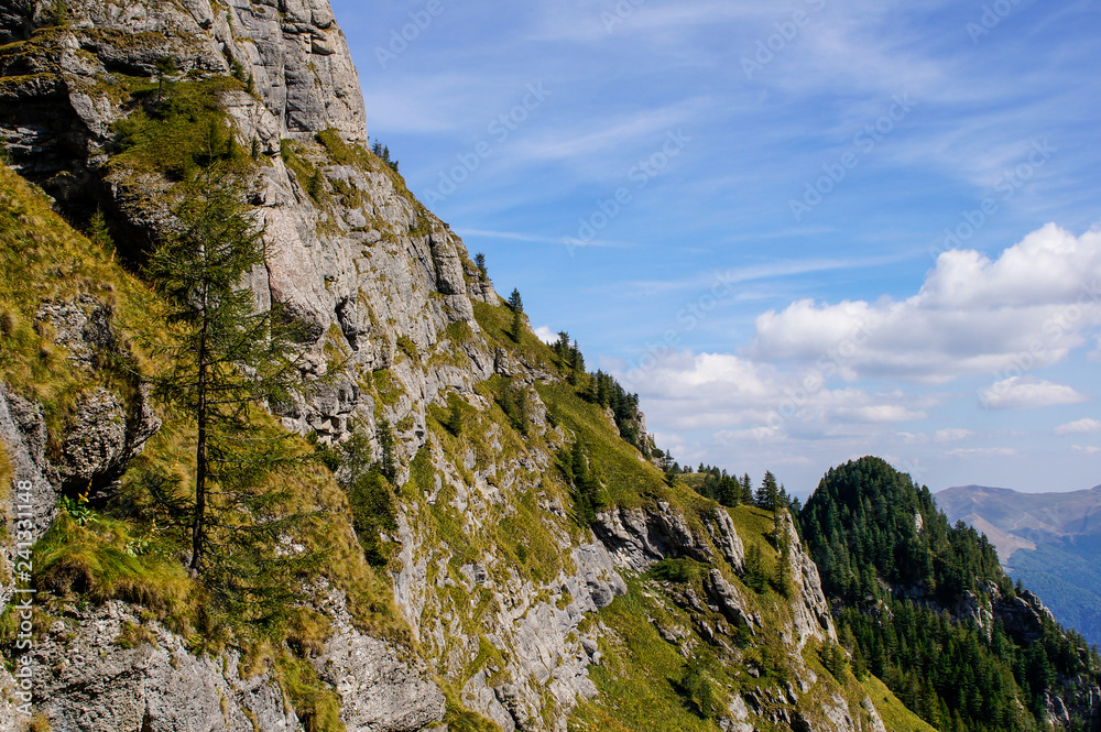 Sheer mountain landscape with rugged cliffs and green fir trees in Bucegi, Carpathian Mountains. 