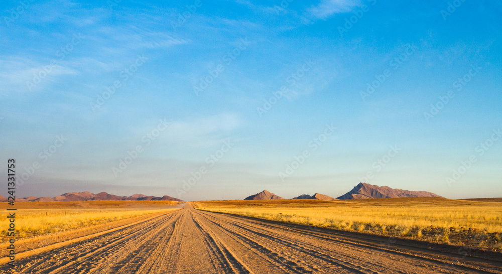 Fototapeta premium empty dirt road across the the Namibian Desert.