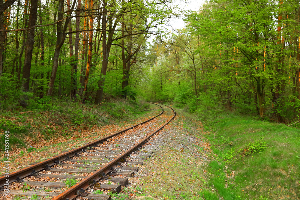 Old rusty railway track amid green forest. Old rusty railway track amid green forest.