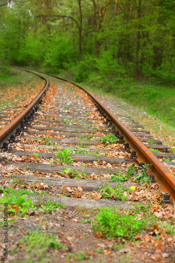 Old rusty railway track amid green forest.