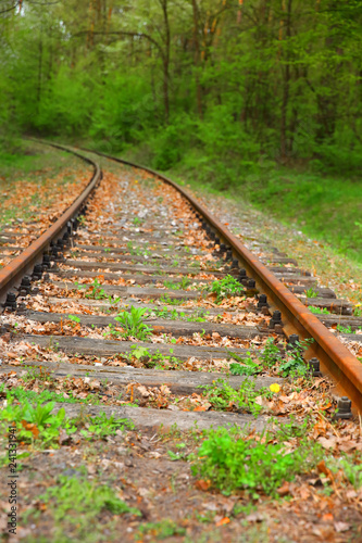 Old rusty railway track amid green forest.