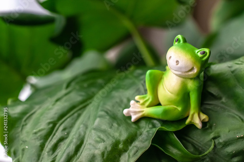 葉っぱで一休みの蛙の置物 ©  Aveyasuhiro 