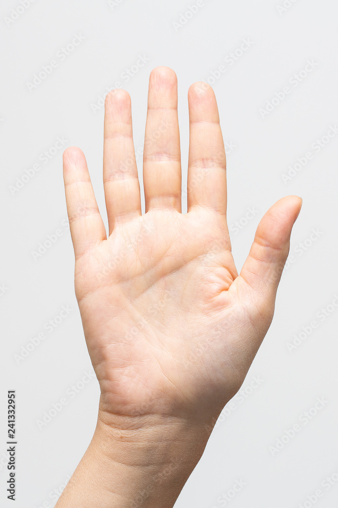 Closeup of palm against gray background