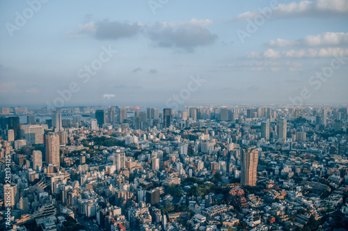 Fototapeta Naklejka Na Ścianę i Meble -  Skyline of Tokyo 