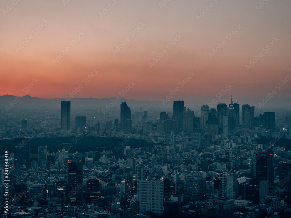 Skyline of Tokyo while Sunset