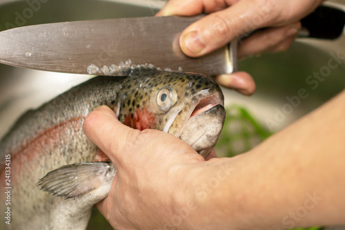 male hands brushing rainbow trout fish with a large knife