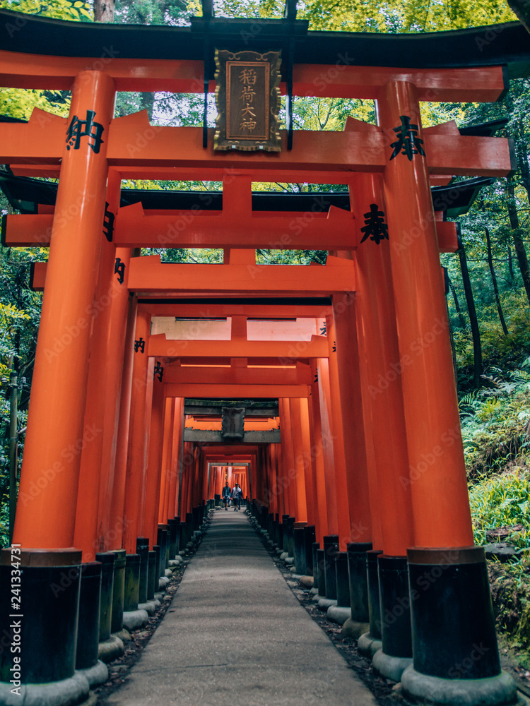 Fushimi Inari Taisha - many torii in Kyoto, Japan Fushimi Inari Taisha - many torii in Kyoto, Japan