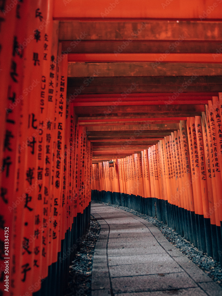 Fototapeta premium Fushimi Inari Taisha - many torii in Kyoto, Japan