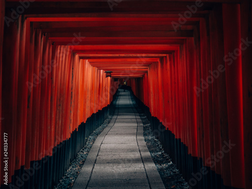 Fushimi Inari Taisha - many torii in Kyoto  Japan