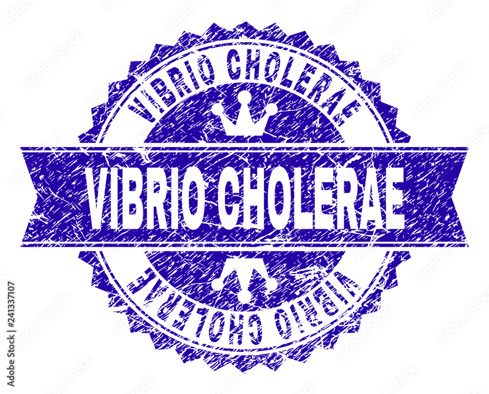 VIBRIO CHOLERAE rosette seal watermark with distress texture. Designed with round rosette, ribbon and small crowns. Blue vector rubber watermark of VIBRIO CHOLERAE label with retro texture. VIBRIO CHOLERAE rosette seal watermark with distress texture. Designed with round rosette, ribbon and small crowns. Blue vector rubber watermark of VIBRIO CHOLERAE label with retro texture.