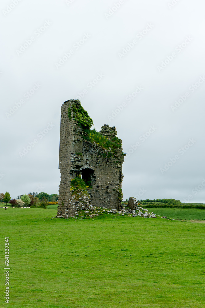 Tower Ruin