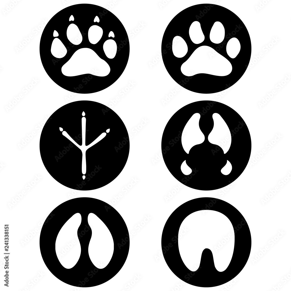 Illustration icons, symbol animal paws, dog, bird, equine, bovine, swine, feline. Ideal for visual communication, veterinary information and institutional material Illustration icons, symbol animal paws, dog, bird, equine, bovine, swine, feline. Ideal for visual communication, veterinary information and institutional material