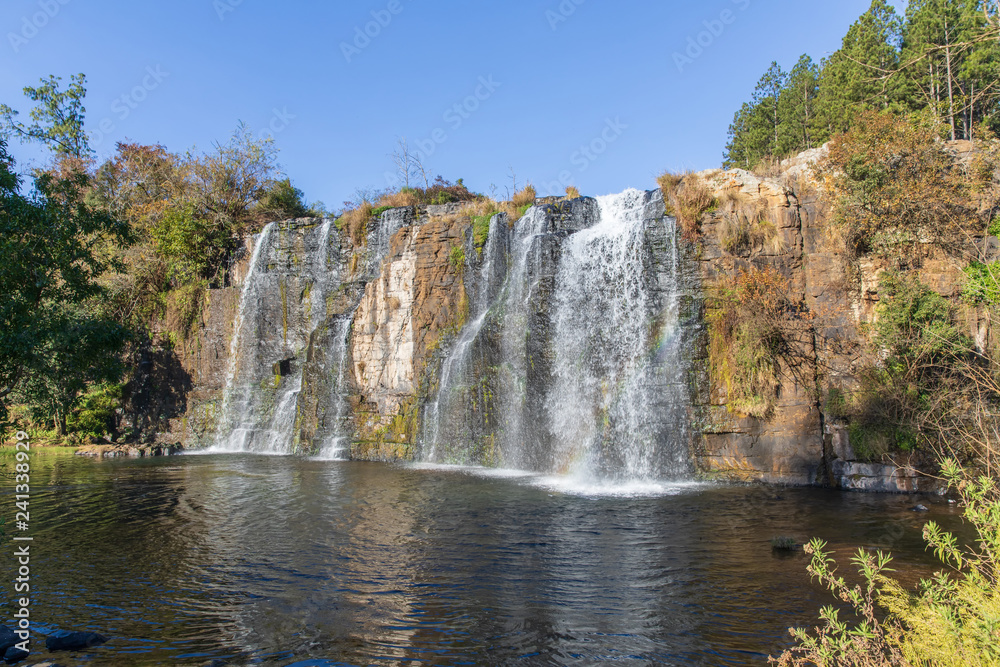 Obraz premium Forest Falls 4