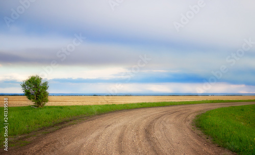 A winding dirt road under a cloudy sky in an agricultural summer landscape