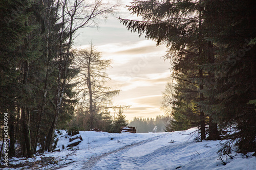 Winterweg photo