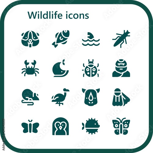 Vector icons pack of 16 filled wildlife icons