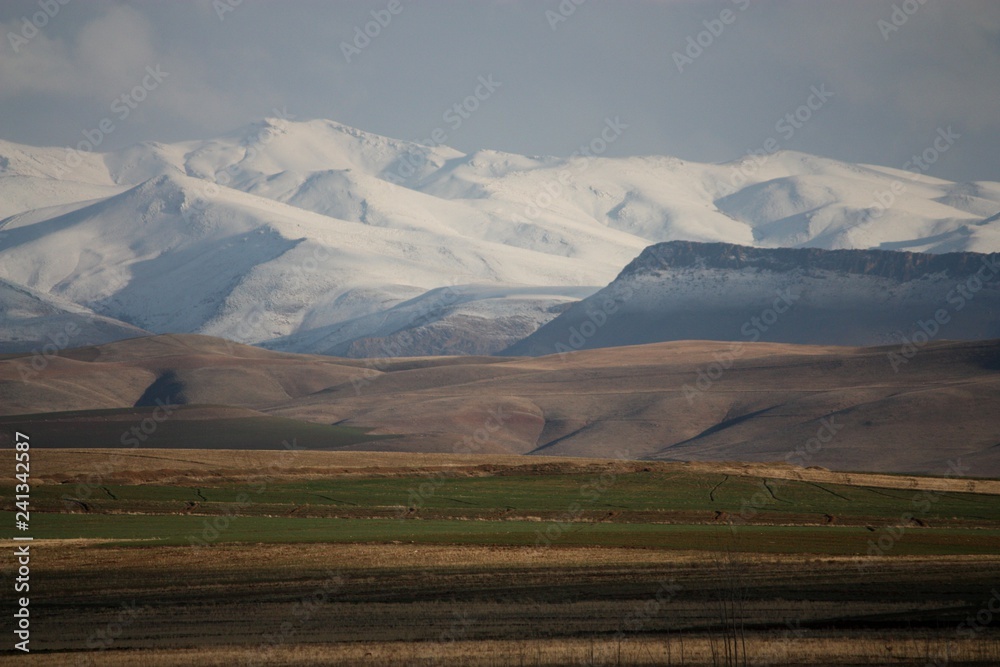Obraz premium steppe d'Iran