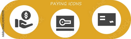 Vector icons pack of 3 filled paying icons