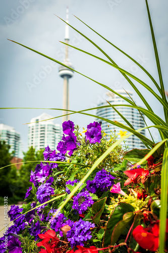 Photography CN Tower with flowers