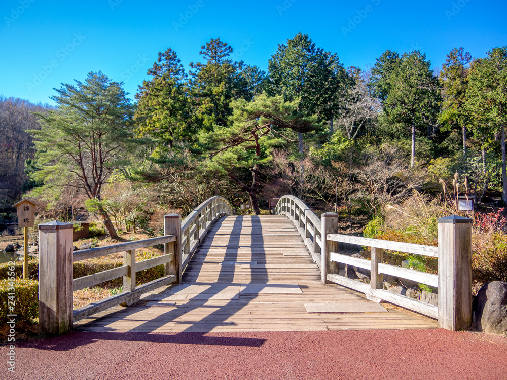 【静岡県伊豆市】冬の日本庭園風景【修善寺虹の郷】
