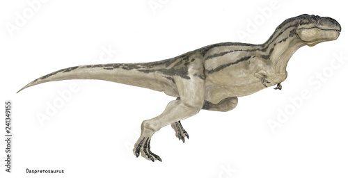 ダスプレトサウルス 白亜紀後期の獣脚類であり、ティラノサウルスに酷似するが、生息した年代がティラノサウルスよりも早く、小型の体形であった。角竜や装盾類の仲間を捕食した。イラストはティラノサウルスとの相違を示すために体型をやや細身に描いたイラストである。。