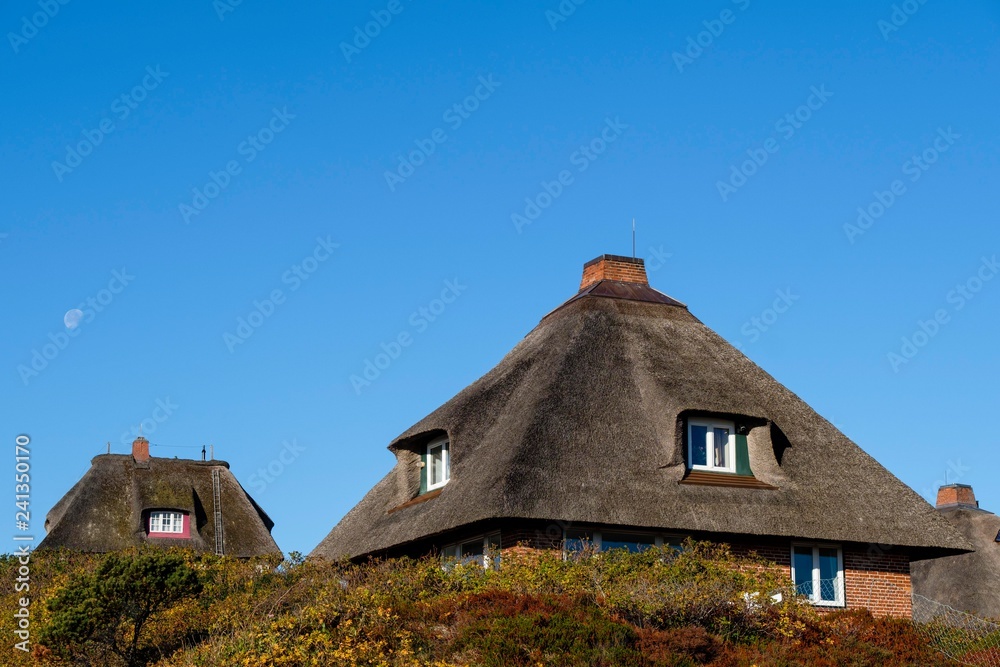 Typical Frisian houses with thatched roofs in the dunes of Hornum, Sylt, Nordfriesland, Schleswig-Holstein, Germany, Europe Typical Frisian houses with thatched roofs in the dunes of Hornum, Sylt, Nordfriesland, Schleswig-Holstein, Germany, Europe