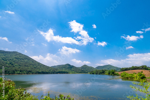 Summer reservoir scenery