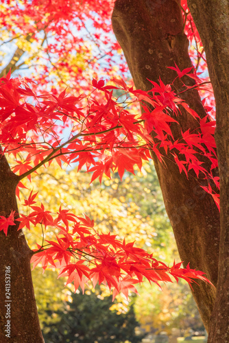 Camb_Fall_Photo_5