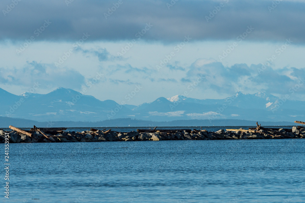 rocky shore line with drift woods on the river with snow covered mountains in the background over the horizon under cloudy blue sky