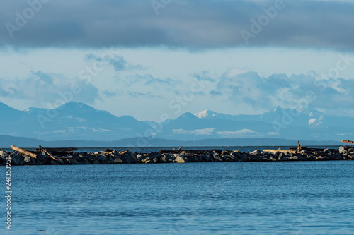 rocky shore line with drift woods on the river with snow covered mountains in the background over the horizon under cloudy blue sky