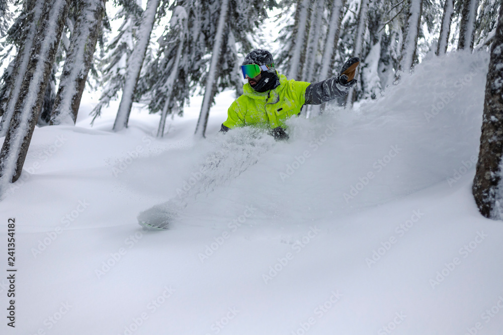 Deep Powder Snowboard Carve in Backcountry Forest Trees