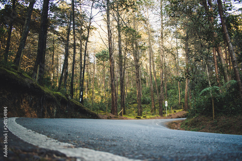 road in the forest