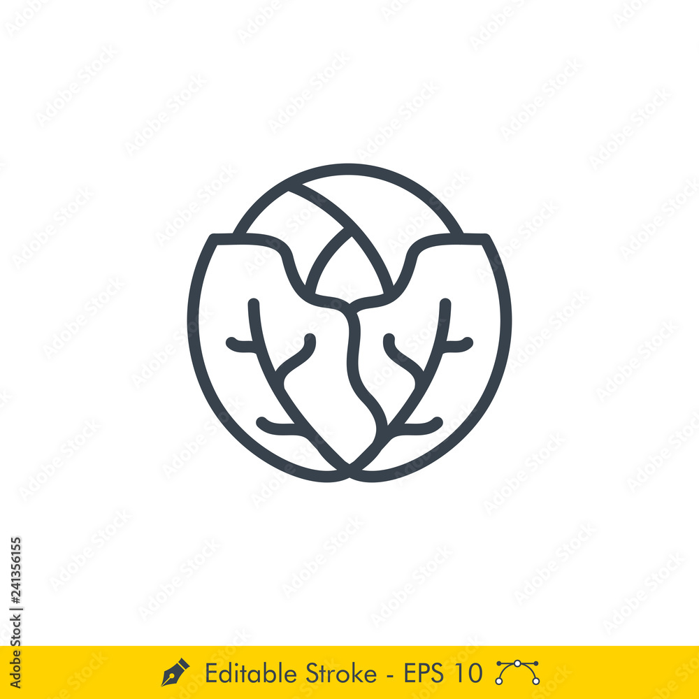 Cabbage Icon / Vector - In Line / Stroke Design Cabbage Icon / Vector - In Line / Stroke Design
