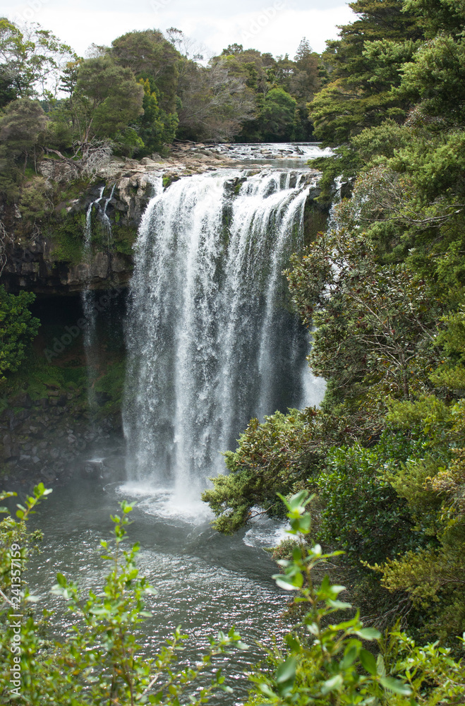 Rainbow Falls and tress around near Kerikeri in Northland in New Zealand