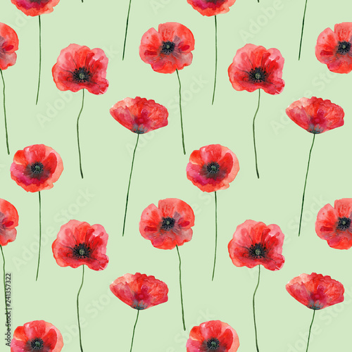 Seamless pattern with poppies on green  hand drawn illustration