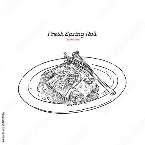 fresh spring rolls, hand draw sketch vector.
