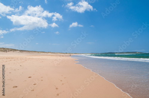 Picturesque summer landscape of empty beach on clear day