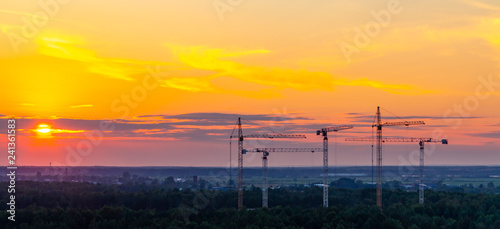 Several construction cranes on the background of colorful sunset sky photo
