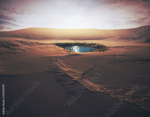 Vászonkép Oasis in the desert
