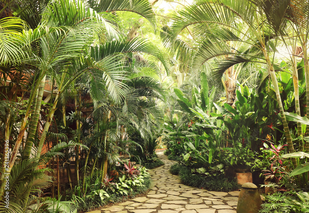 Obraz premium Beautiful tropical garden with palm trees and flowers.