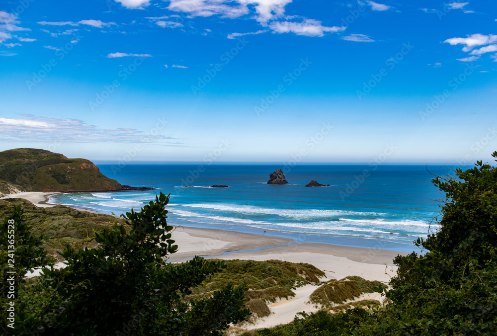 A Beautiful Beach Landscape in the South island of New Zealand A Beautiful Beach Landscape in the South island of New Zealand