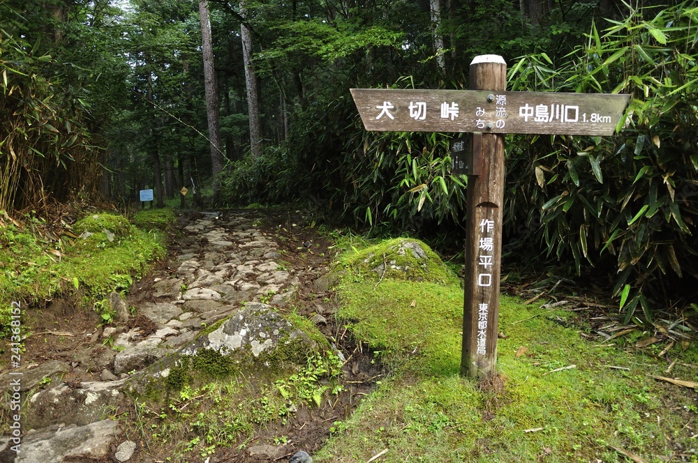 笠取山の登山口 作場平口