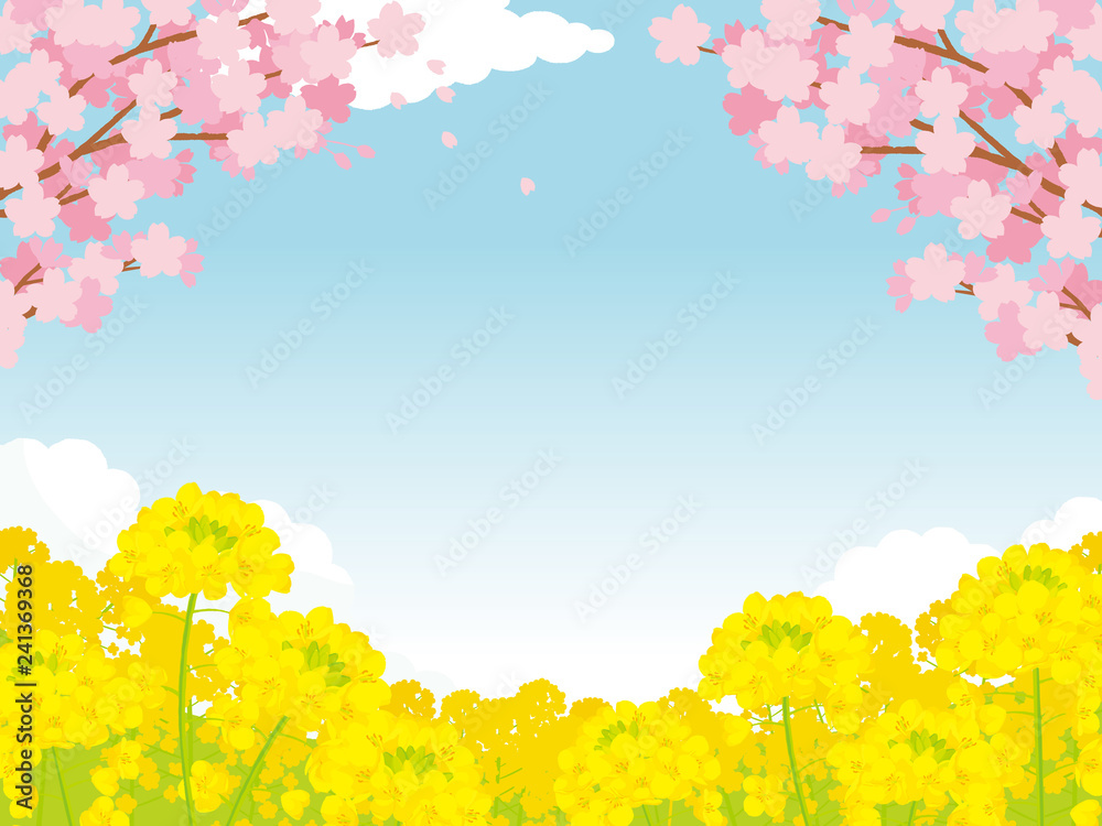 桜と菜の花 背景イラスト Stock Vector Adobe Stock