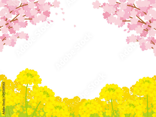 桜と菜の花　背景イラスト