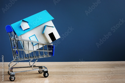 Shopping cart and small house. Buying real estate concept. Free space.