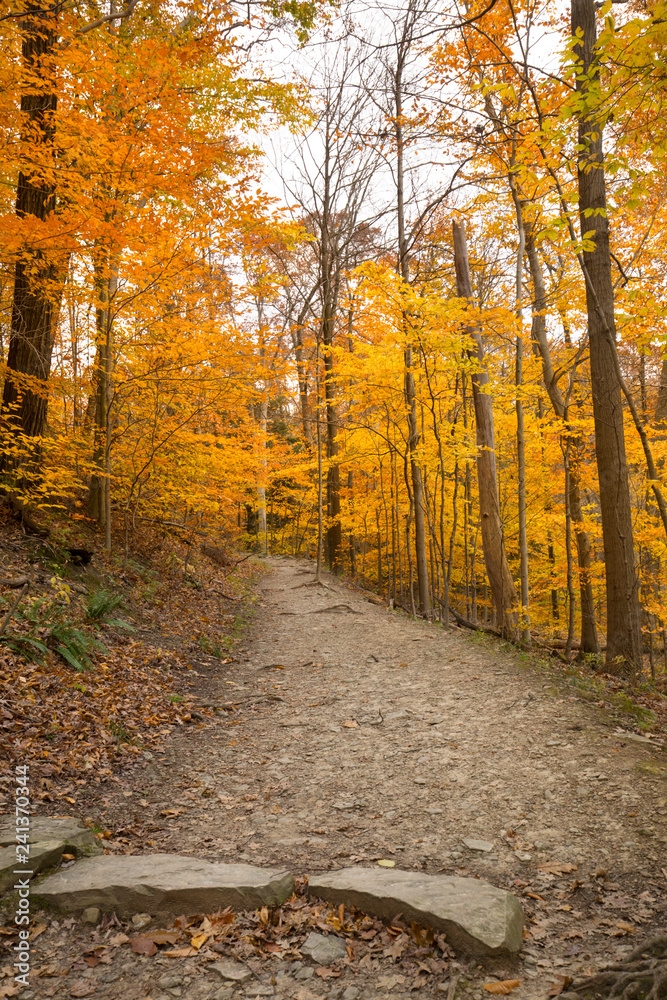 Obraz premium Bright fall foliage in Cuyahoga Valley National Park in Ohio.